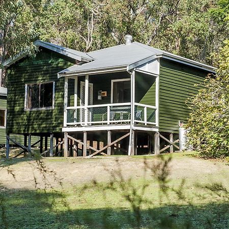 Wellington Forest Cottages Exteriér fotografie