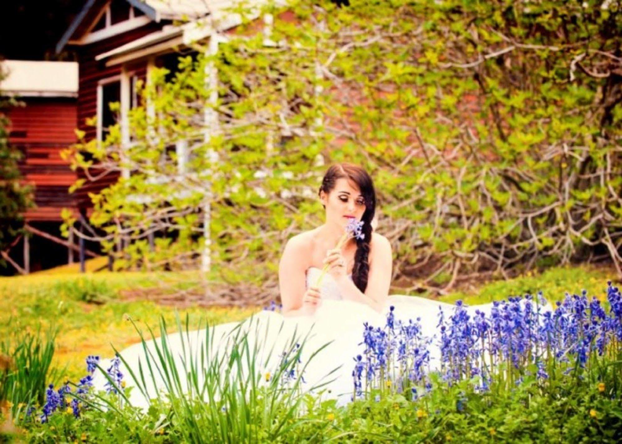 Wellington Forest Cottages Exteriér fotografie